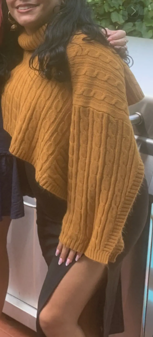 Turtleneck Cropped Sweater