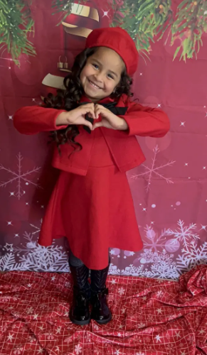 3pcs, Bowknot Coat & Beret & Tank Dress Set