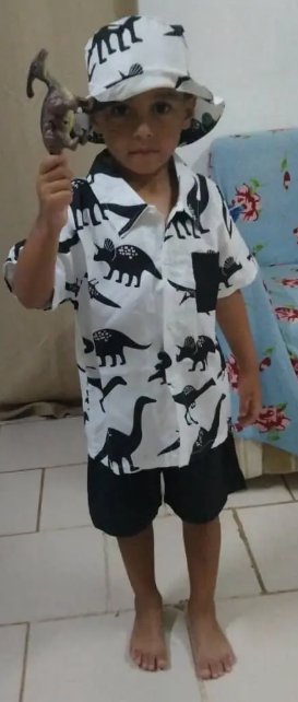 3pcs Boy's Casual Short Sleeve Collared Shirt With Hat & Shorts Set